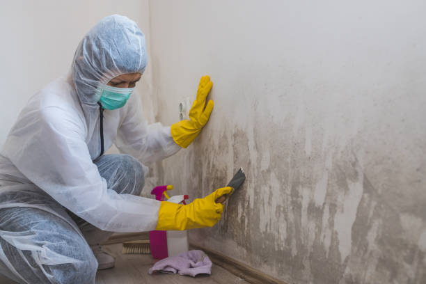 Crawl Space Mold Removal in Hartley, IA