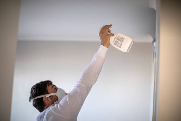 Mold Removal Process in Hartley, IA