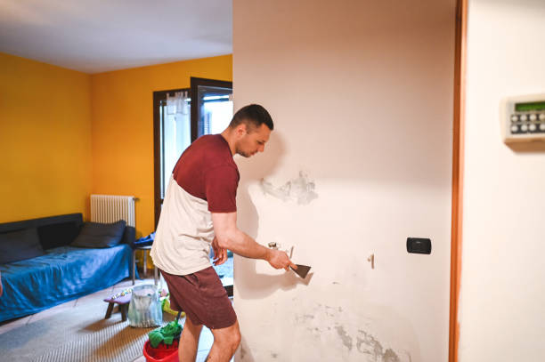 Best Water Damage Restoration  in Hartley, IA